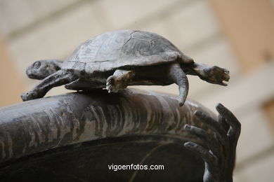 Fuente de las Tortugas (Piazza Mateo). 