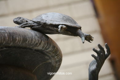 Fuente de las Tortugas (Piazza Mateo). 