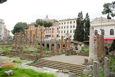 Largo di Torre Argentina. 