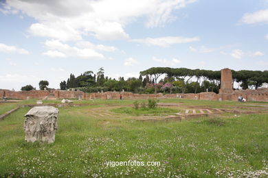 Monte Palatino Romano. 