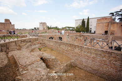 Monte Palatino Romano. 