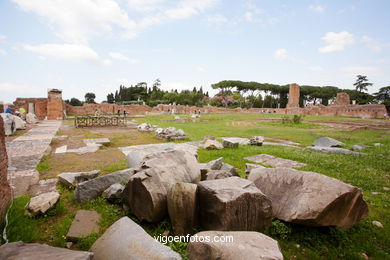 Monte Palatino Romano. 