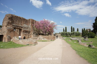 Monte Palatino Romano. 