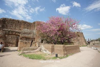 Monte Palatino Romano. 