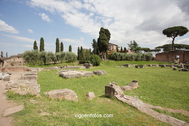 Monte Palatino Romano. 