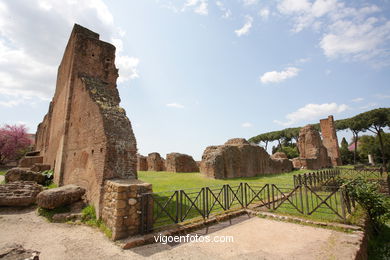 Monte Palatino Romano. 