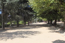 PARQUE DE LA ALAMEDA - SANTIAGO DE COMPOSTELA