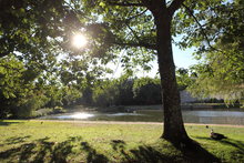 PARQUE DE LA MÚSICA -SANTIAGO DE COMPOSTELA