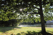 PARQUE DE LA MÚSICA -SANTIAGO DE COMPOSTELA