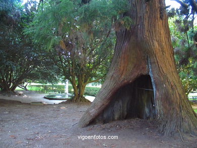 CASTILLO DE SOTOMAIOR. JARDINS