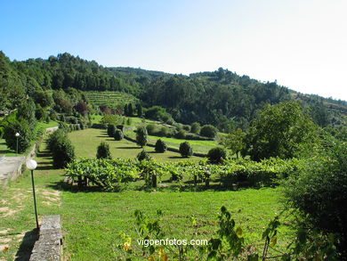 PAISAGENS DE SOUTOMAIOR