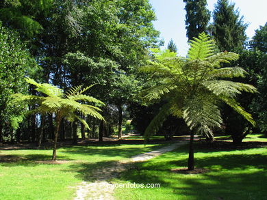 Interiores Castillo de Soutomaior 