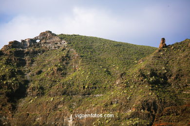 ACANTILADOS: ACANTILADOS GIGANTES 