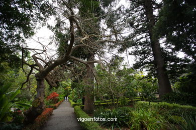 JARDN BOTNICO: RESTO 