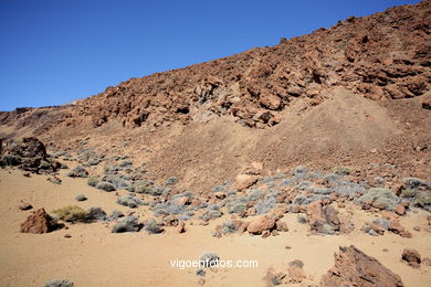 TEIDE: PARQUE NACIONAL 