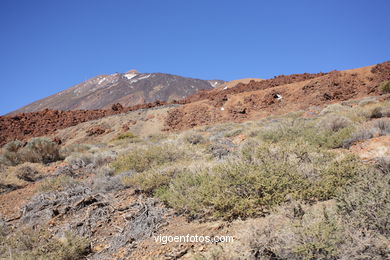 TEIDE: PARQUE NACIONAL 