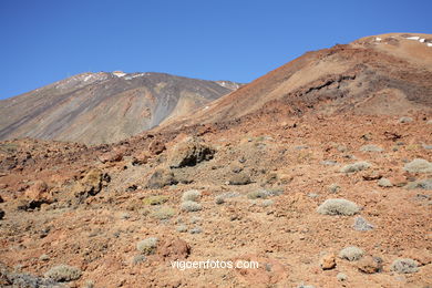 TEIDE: PARQUE NACIONAL 