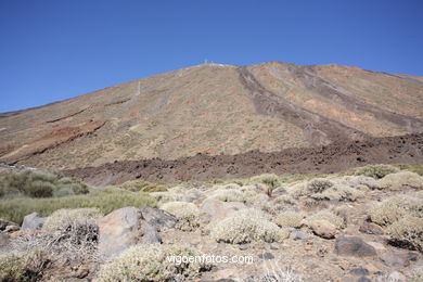 TEIDE: PARQUE NACIONAL 