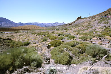 TEIDE: PARQUE NACIONAL 