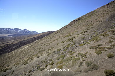 TEIDE: PARQUE NACIONAL 