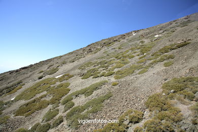 TEIDE: PARQUE NACIONAL 