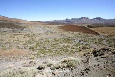 TEIDE: PARQUE NACIONAL 