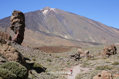 TEIDE: PARQUE NACIONAL 