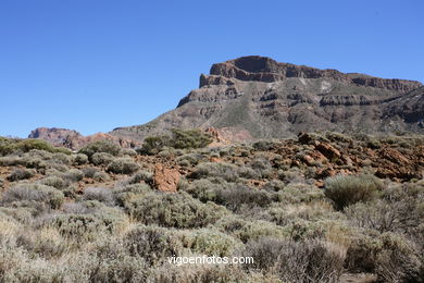 TEIDE: PARQUE NACIONAL 