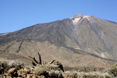 TEIDE: PARQUE NACIONAL 