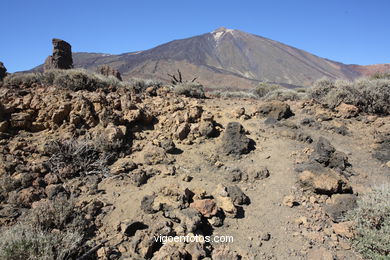 TEIDE: PARQUE NACIONAL 