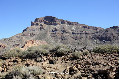 TEIDE: PARQUE NACIONAL 