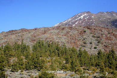 TEIDE: PARQUE NACIONAL 