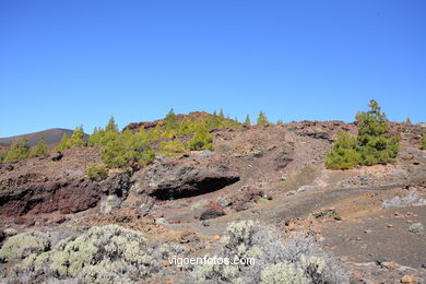 TEIDE: PARQUE NACIONAL 