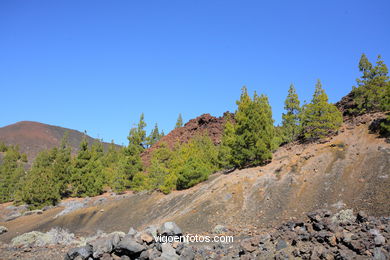 TEIDE: PARQUE NACIONAL 