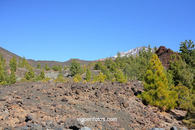 TEIDE: PARQUE NACIONAL 