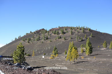 TEIDE: PARQUE NACIONAL 