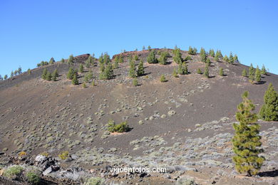 TEIDE: PARQUE NACIONAL 