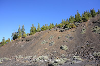 TEIDE: PARQUE NACIONAL 