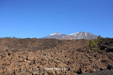 TEIDE: PARQUE NACIONAL 