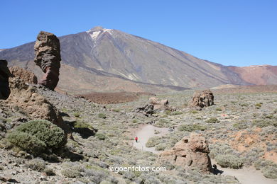 TEIDE: ROQUES GARCA 