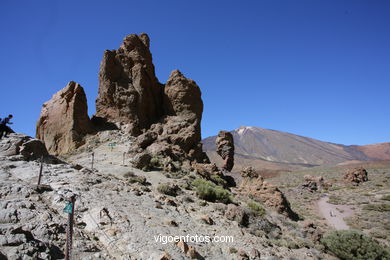 TEIDE: ROQUES GARCA 