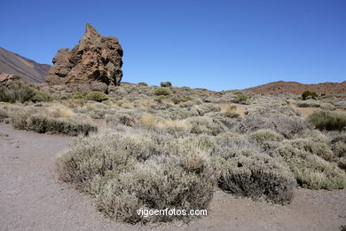 TEIDE: ROQUES GARCA 