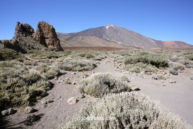 TEIDE: ROQUES GARCA 