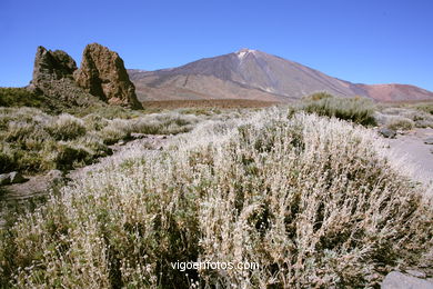 TEIDE: ROQUES GARCA 