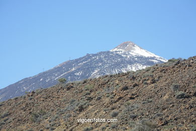 TEIDE: TEIDE 