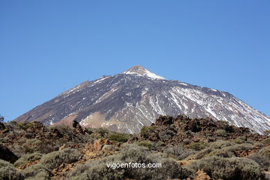 TEIDE: TEIDE 