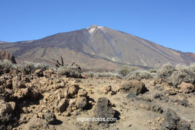 TEIDE: PARQUE NACIONAL 