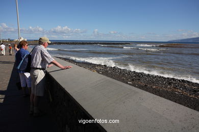 TENERIFE NORTE: PASEO MARTIMO 