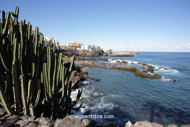 TENERIFE NORTE: PASEO MARTIMO 