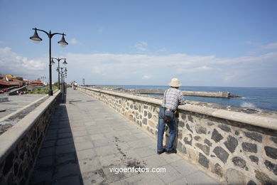 TENERIFE NORTE: PASEO MARTIMO 